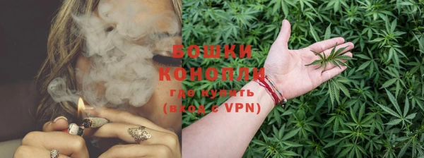 бошки Осташков
