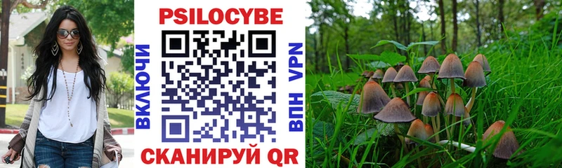 Купить закладки  Чистополь  Галлюциногенные грибы Cubensis 